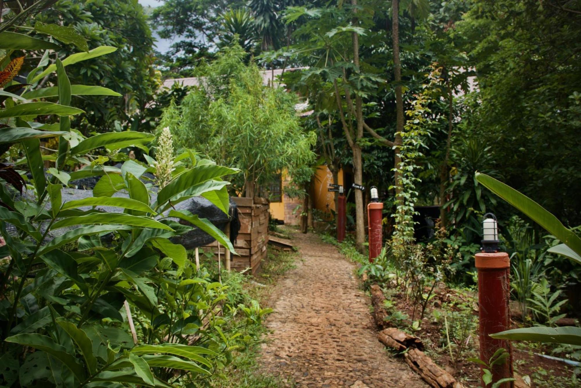 Aerie Lodge Pang Mapha Exteriér fotografie