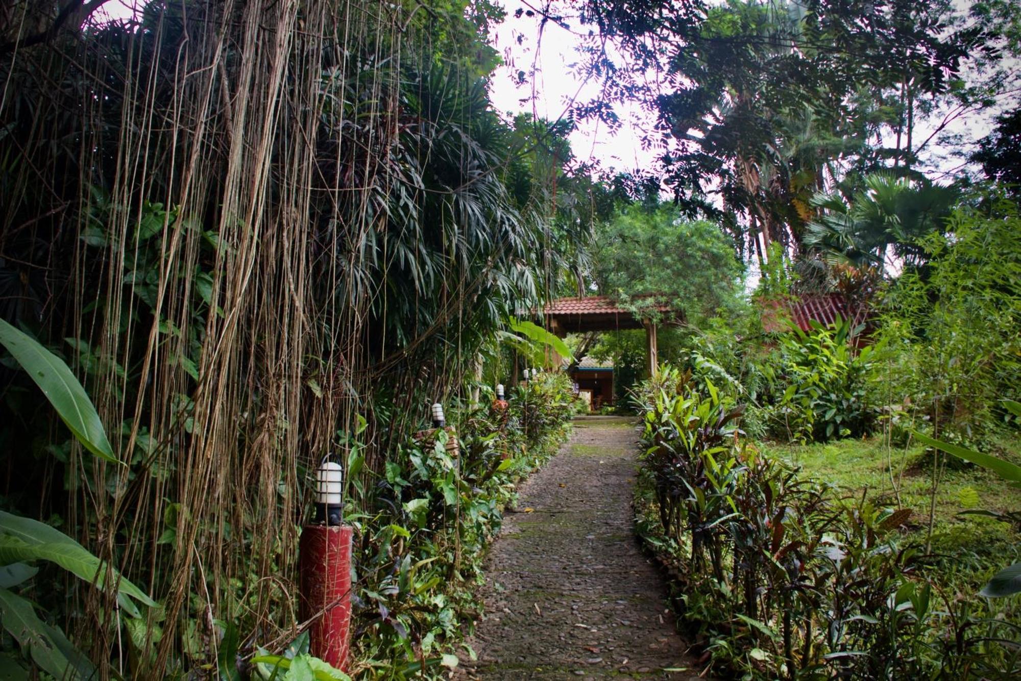 Aerie Lodge Pang Mapha Exteriér fotografie