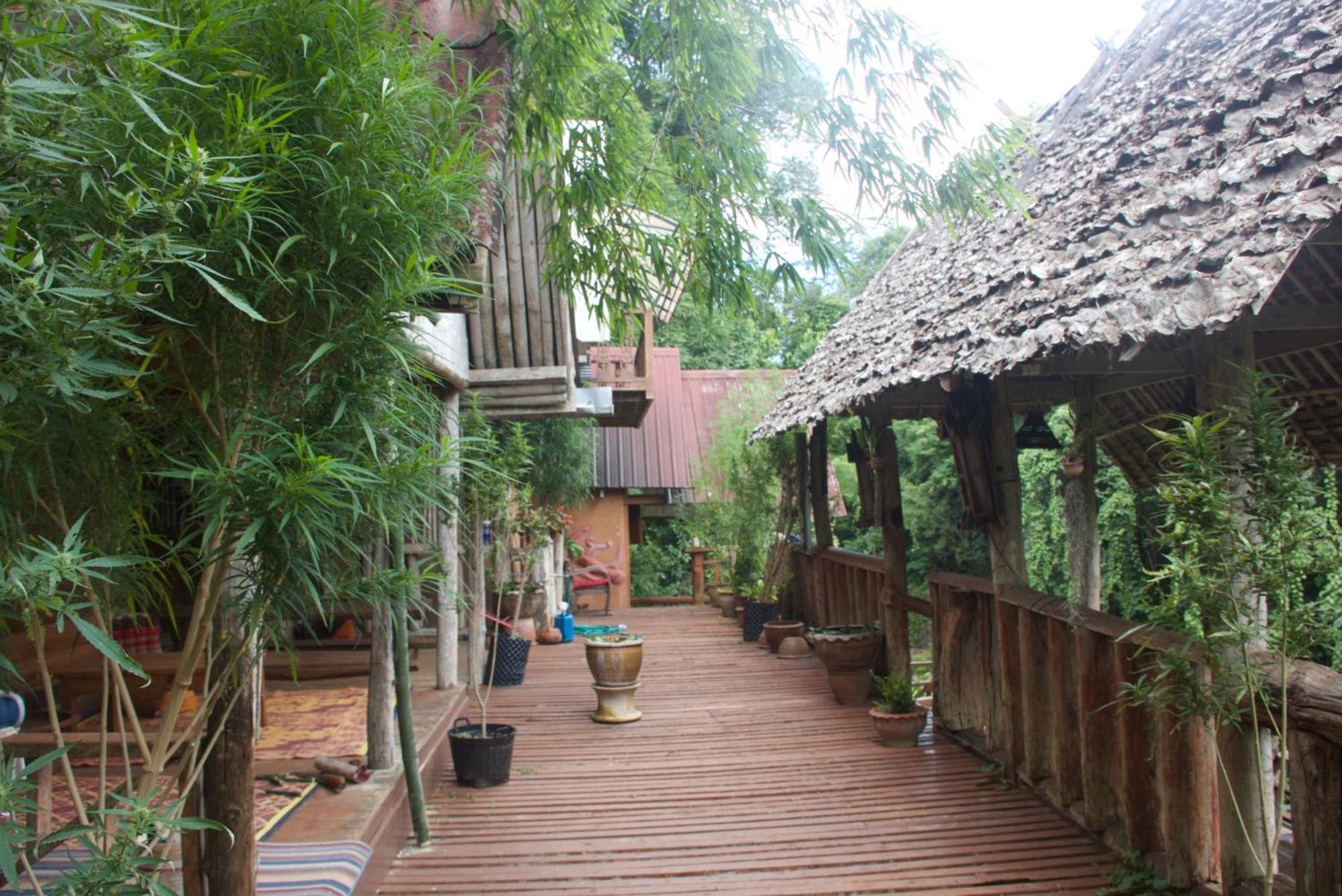 Aerie Lodge Pang Mapha Exteriér fotografie