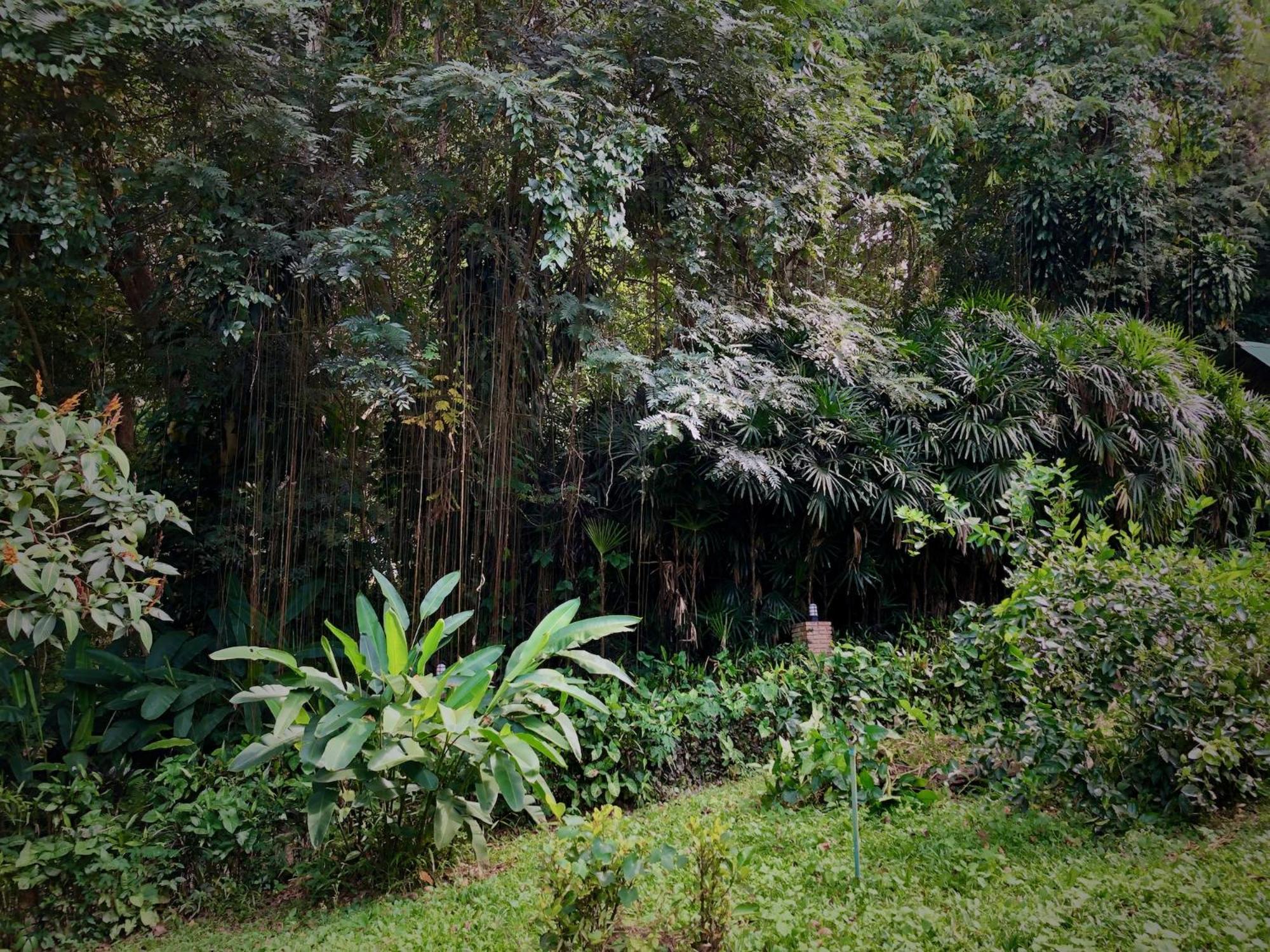 Aerie Lodge Pang Mapha Exteriér fotografie